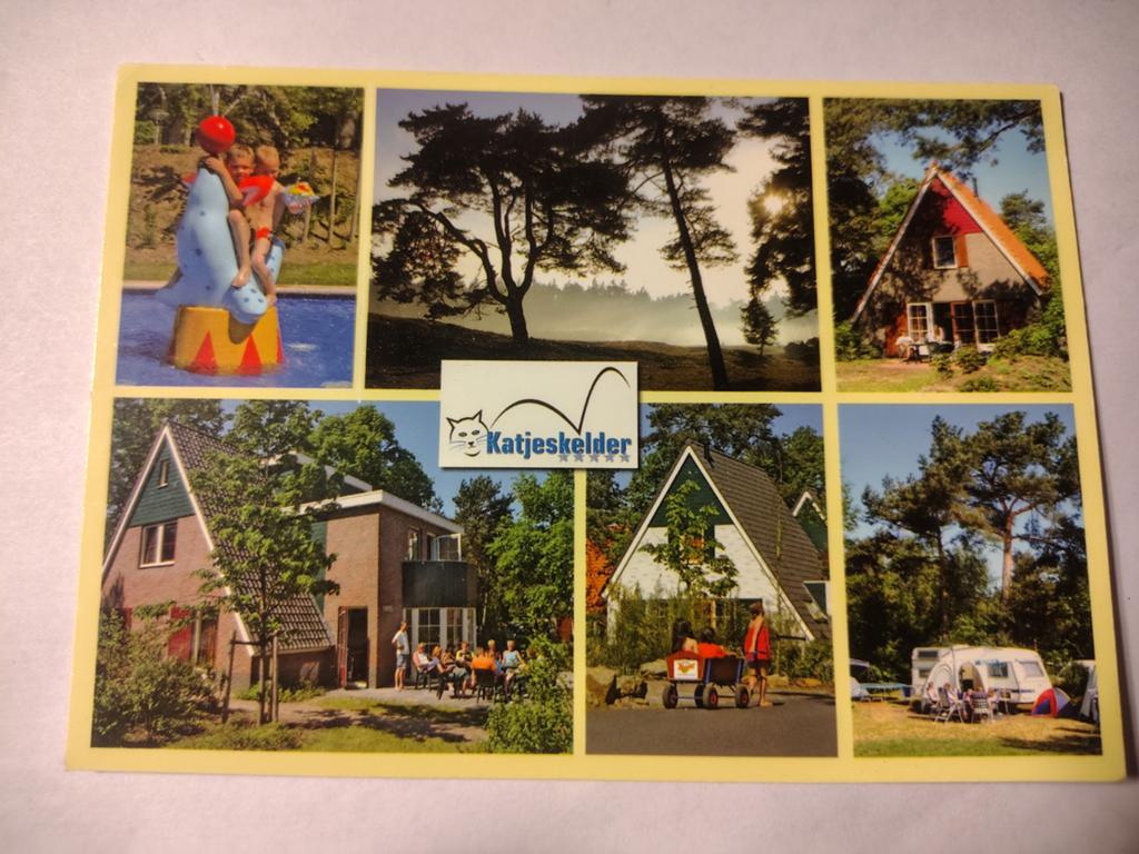 Oosterhout, Ophalen of Verzenden, 1940 tot 1960, Noord-Brabant