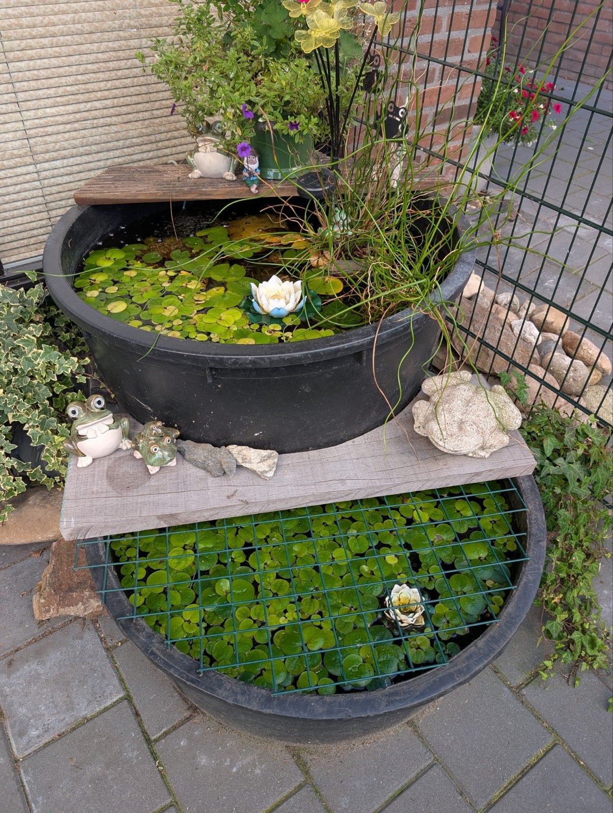 Vijver bakken, Tuin en Terras, Ophalen