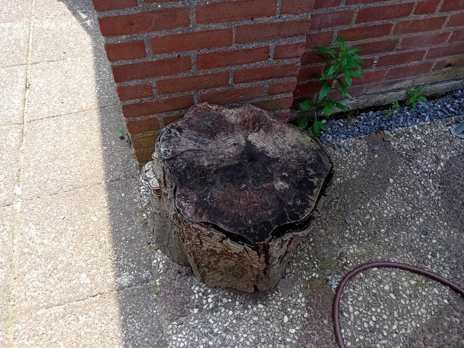 Hout, Ophalen, 50 mm of meer, Pallet, Minder dan 200 cm