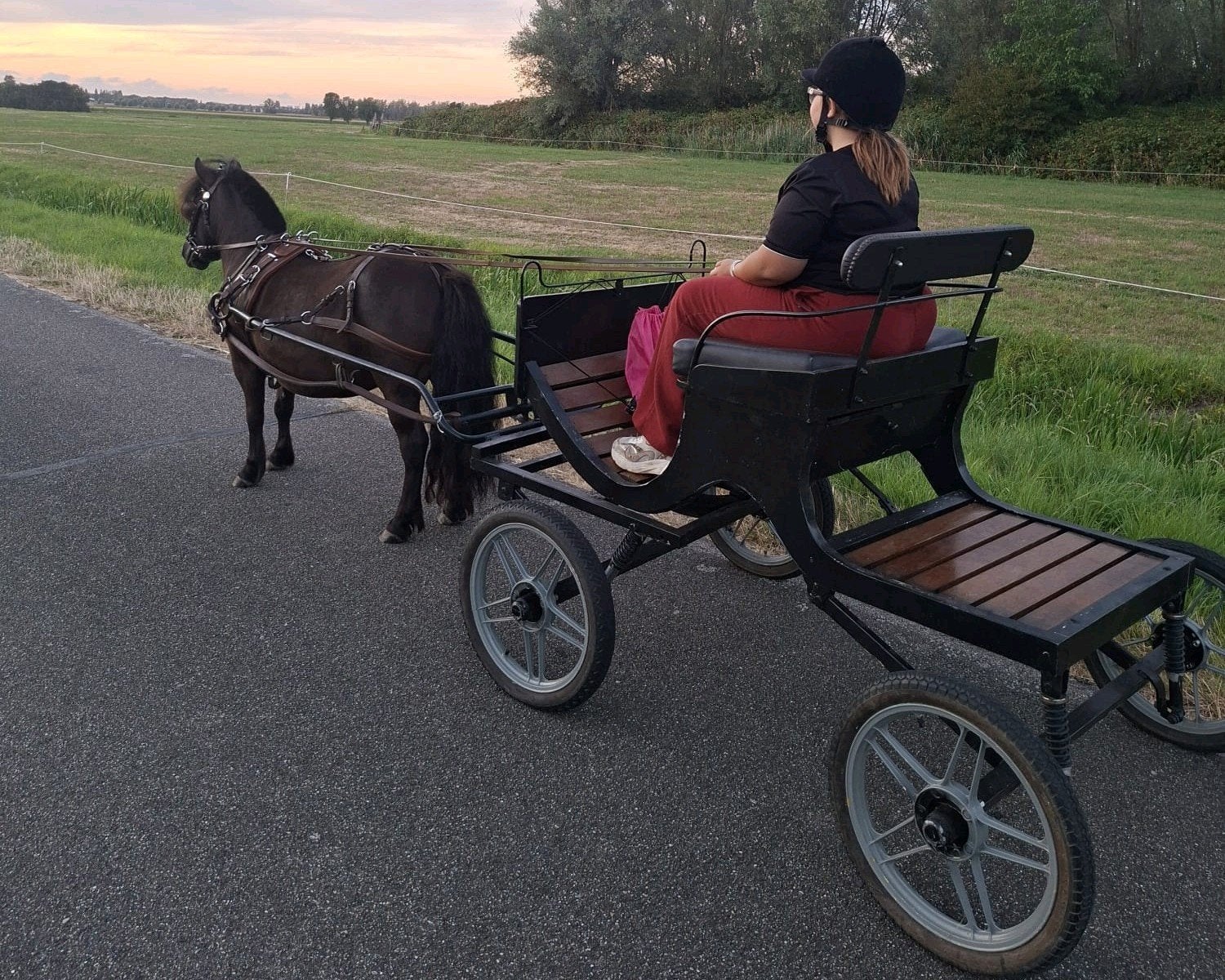Te koop of ruilen tegen nette tweewieler , shetlander, Dieren en Toebehoren, Gebruikt, Overige typen, Pony, Gesloten