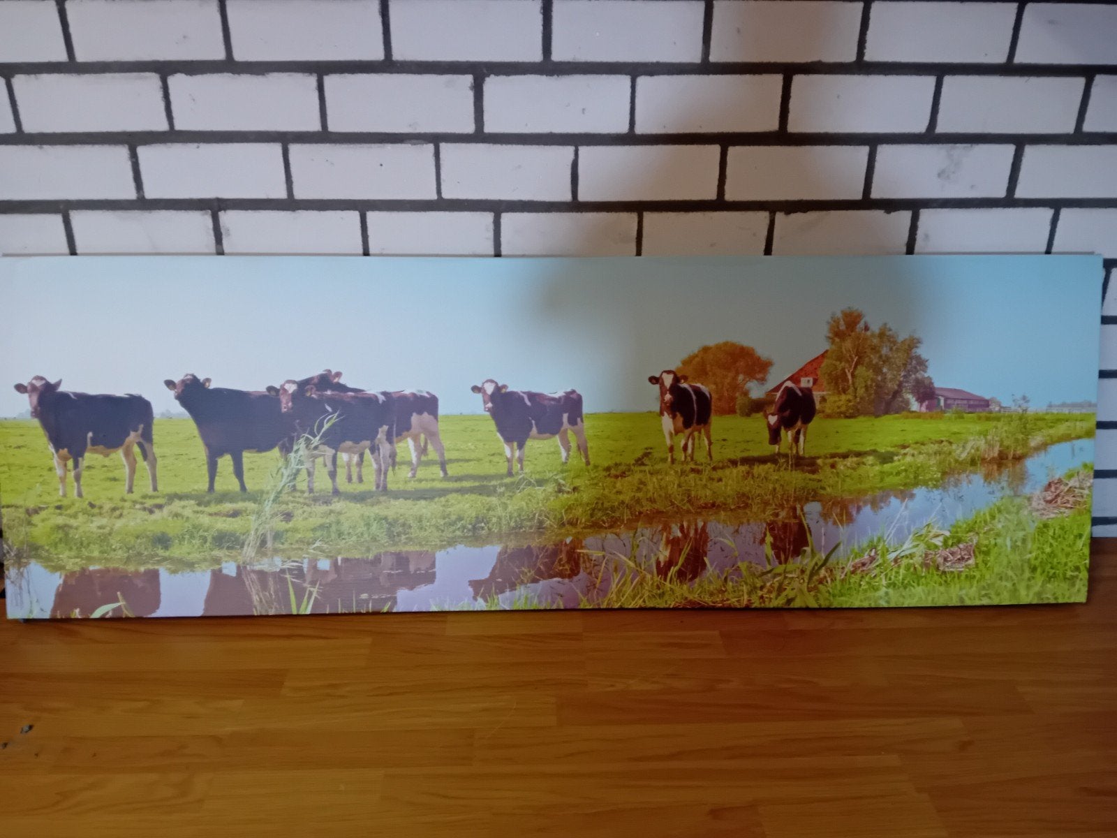 Canvas schilderij met koeien in de wei, Ophalen, Gebruikt, Schilderij, 100 tot 125 cm