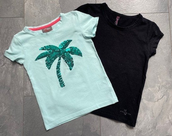 2 shirtjes maat 110 (qwe), Meisje, Ophalen of Verzenden, Zo goed als nieuw, Shirt of Longsleeve
