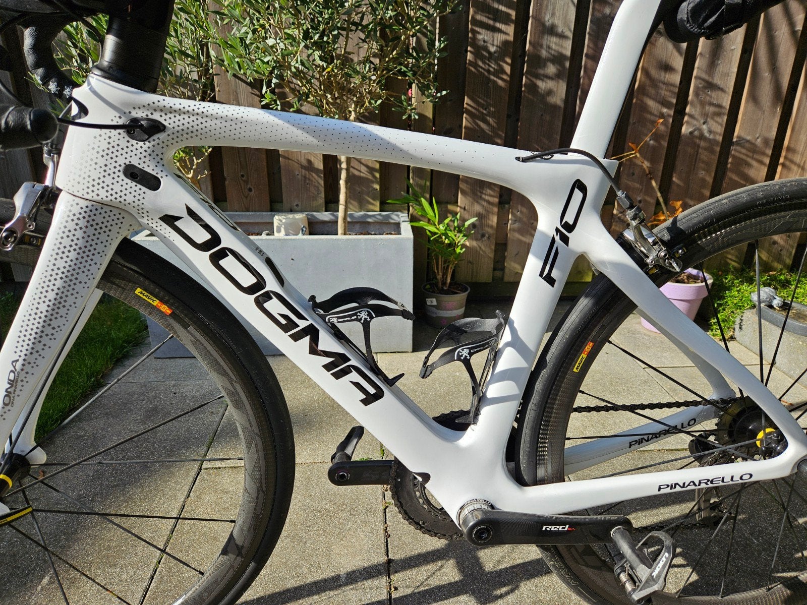 Pinarello Dogma F10, Carbon, Minder dan 49 cm, Meer dan 20 versnellingen, Ophalen