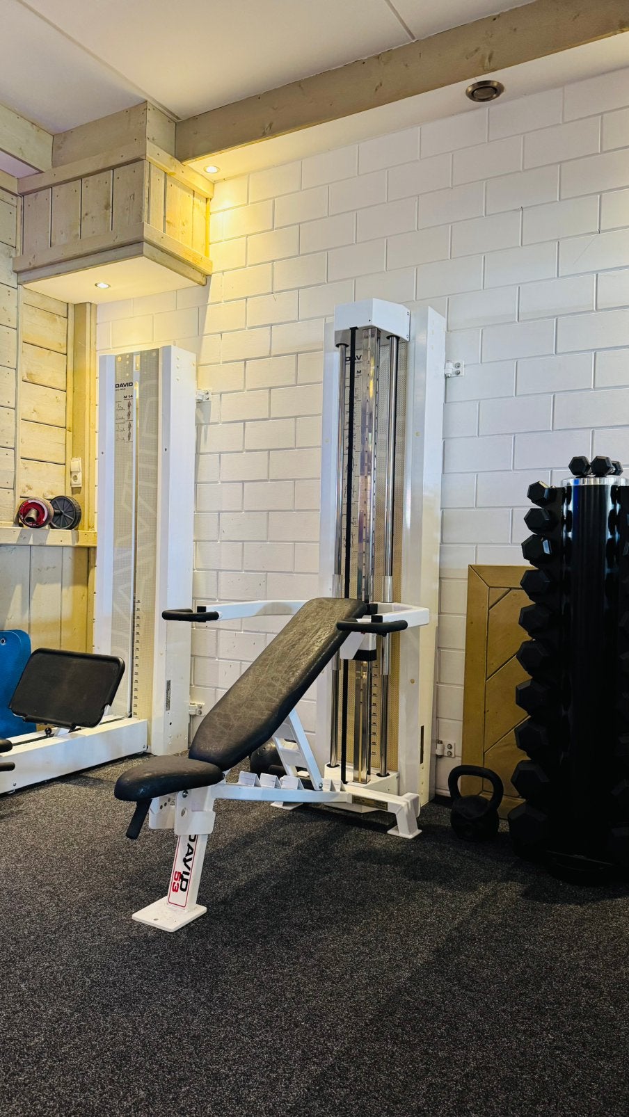 David Multipress + leg press machines met kick backs functie, Sport en Fitness, Fitnessmaterialen, Ophalen, Zo goed als nieuw