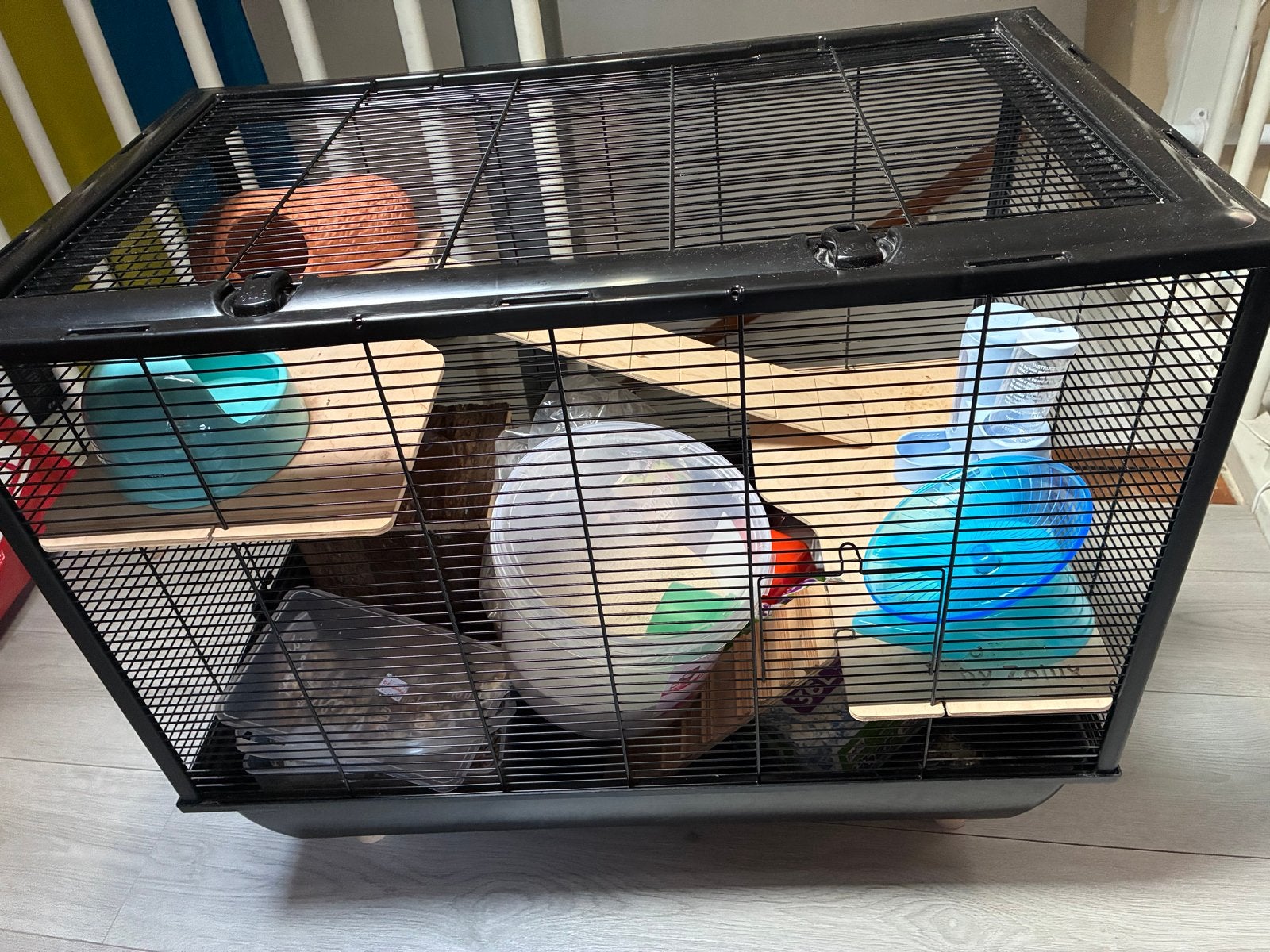 Hamster kooi met spullen, Kooi, Gebruikt, Minder dan 75 cm, Hamster
