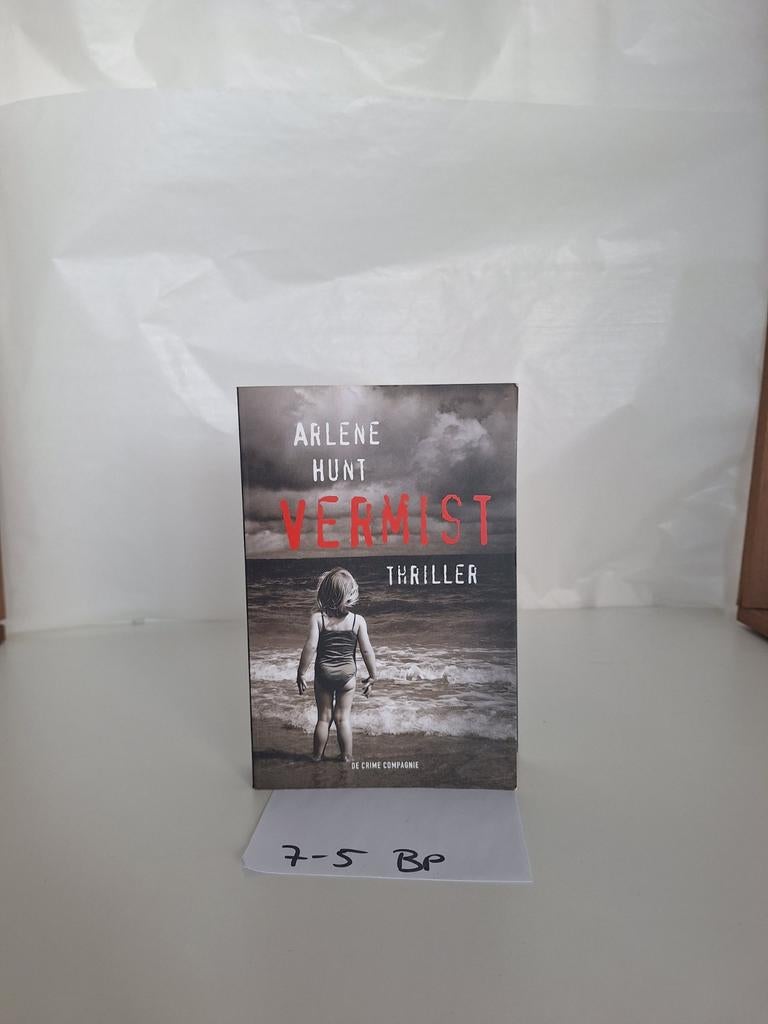 Vermist - Arlene Hunt (Thriller), Ophalen of Verzenden, Zo goed als nieuw, Arlene Hunt, Europa overig
