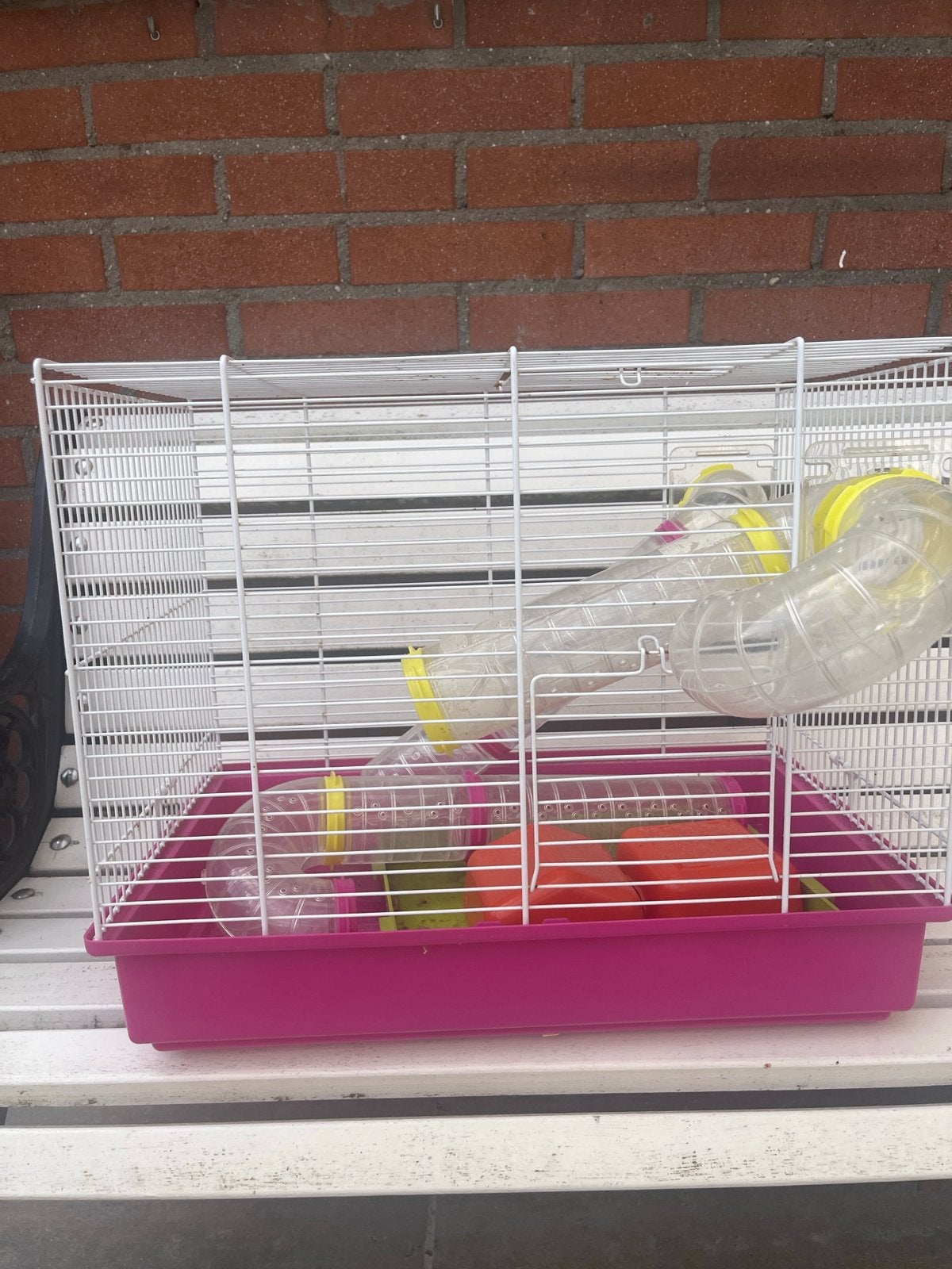 Hamsterhok, Minder dan 60 cm, Kooi, Gebruikt, Ophalen of Verzenden