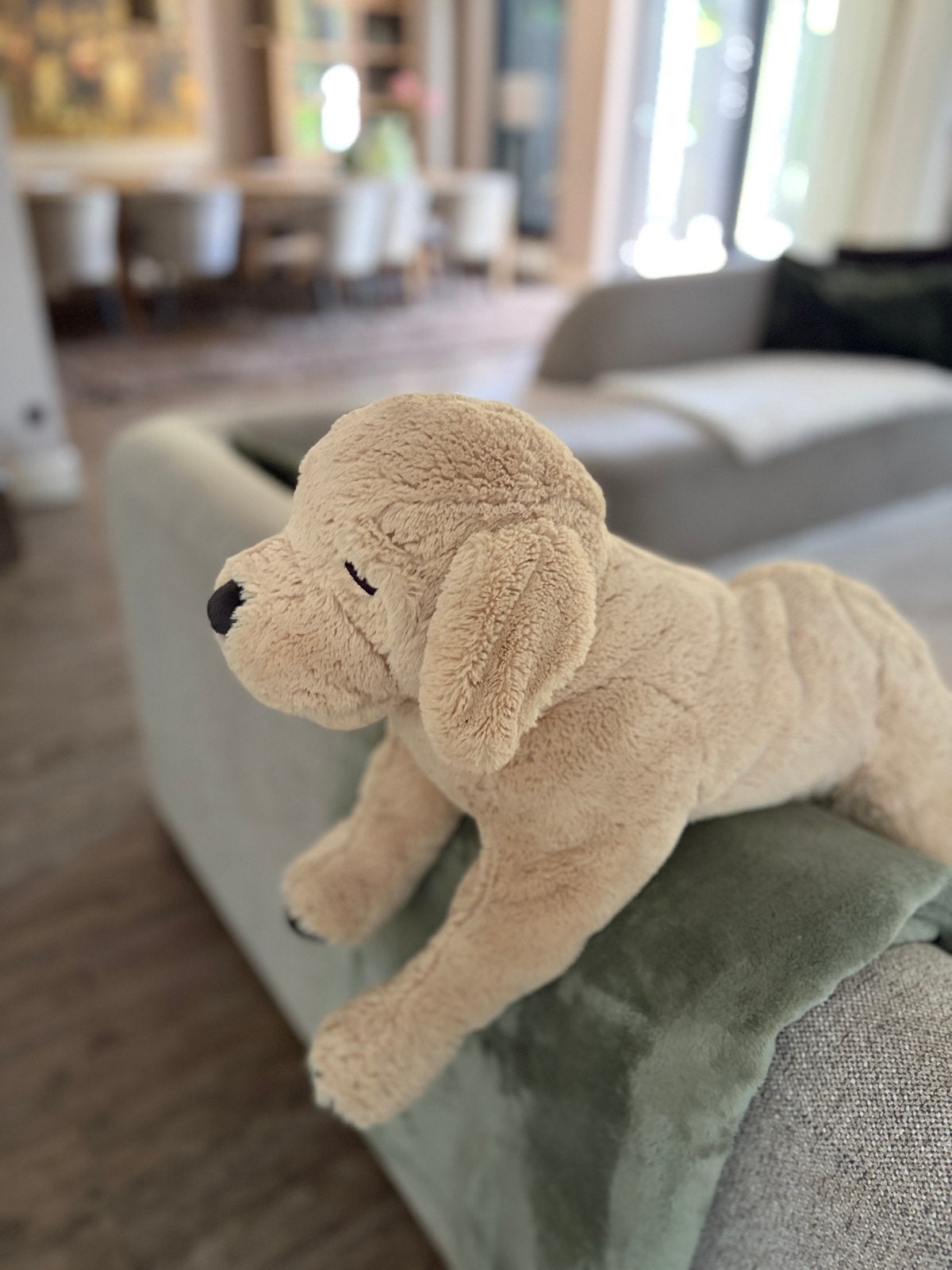 Grote knuffelhond - Labrador Retriever, Ophalen, Hond, Zo goed als nieuw, Middelgroot (20 tot 80 cm)