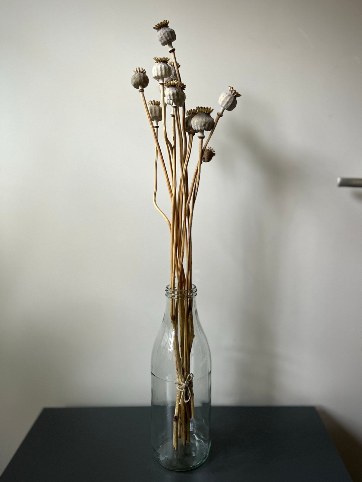 Gedroogde Papaverbollen - Decoratieve bos, Gebruikt, Beige, Ophalen of Verzenden, Landelijk