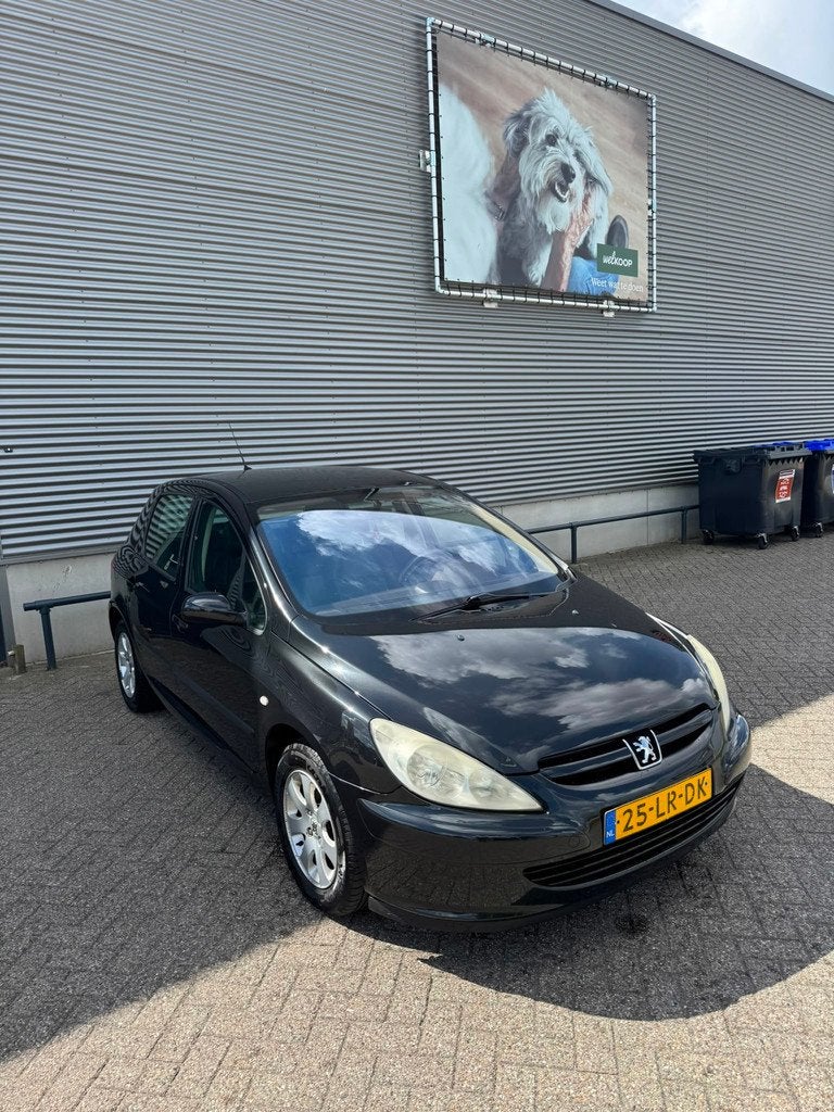 Peugeot 307 1.6-16V Gentry, Voorwielaandrijving, Gebruikt, 4 cilinders, 610 kg