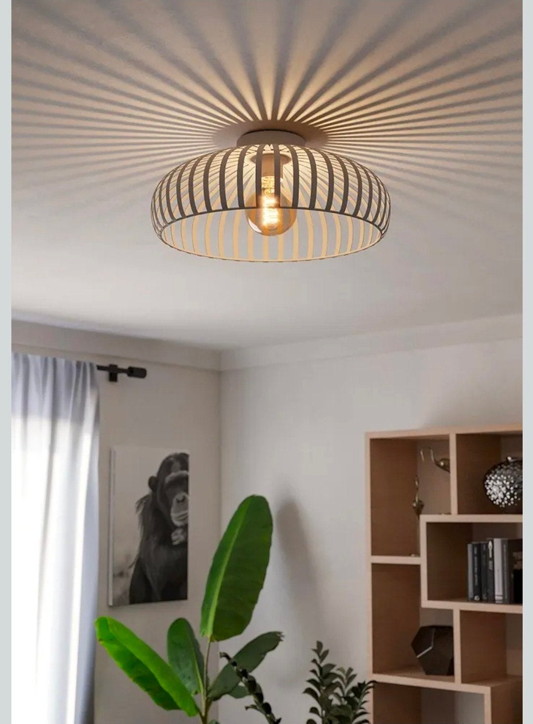 EGLO Mogano 3 Plafondlamp - beige - Ø 430mm, Modern, Nieuw, Metaal, Grijs