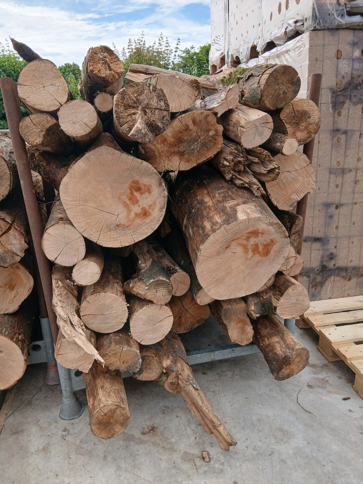 Beuken stammen voor haardhout -  beschikbaar, Tuin en Terras, Haardhout, Stammen, Beukenhout, 6 m³ of meer, Ophalen of Verzenden