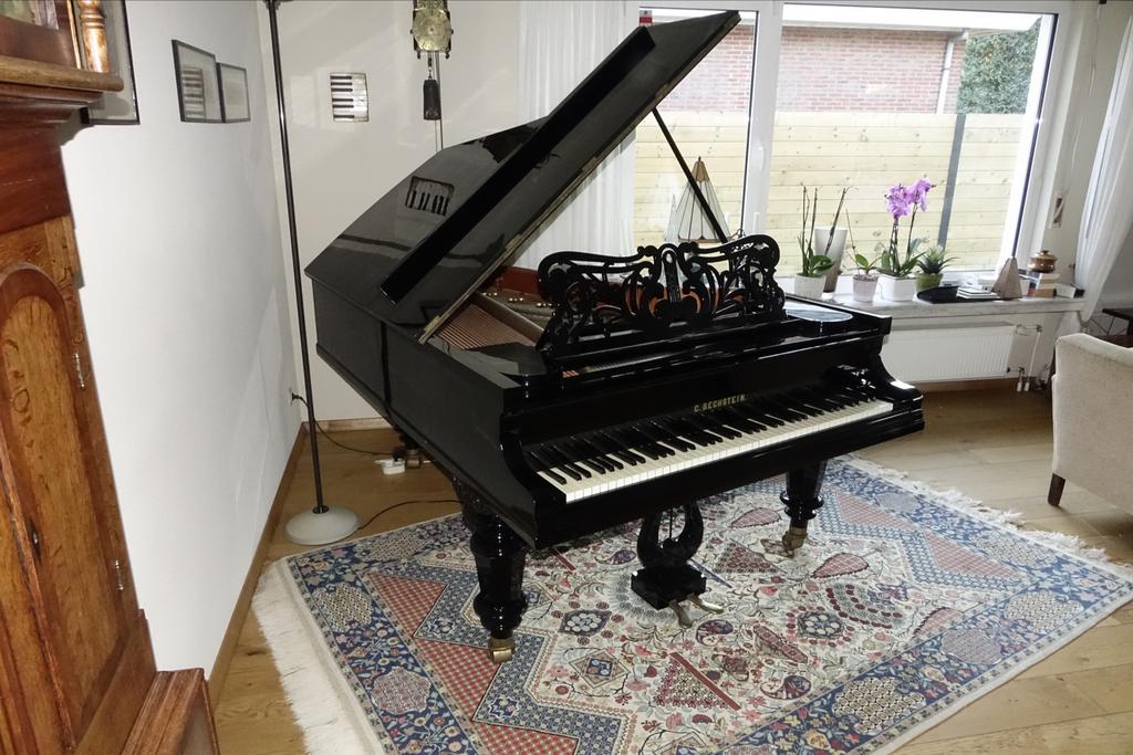 C. Bechstein Vleugel - Professioneel Gerenoveerd (1875), Ophalen, Gebruikt, Zwart, Hoogglans