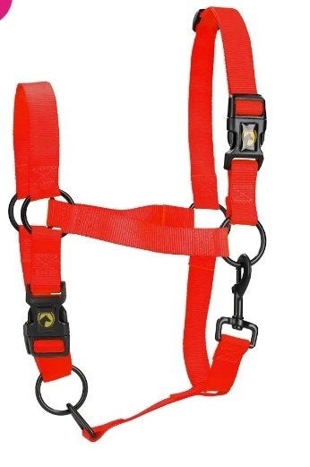 Essential halster Excellent Horse maat M pony blauw en rood, Ophalen of Verzenden, Halster, Pony
