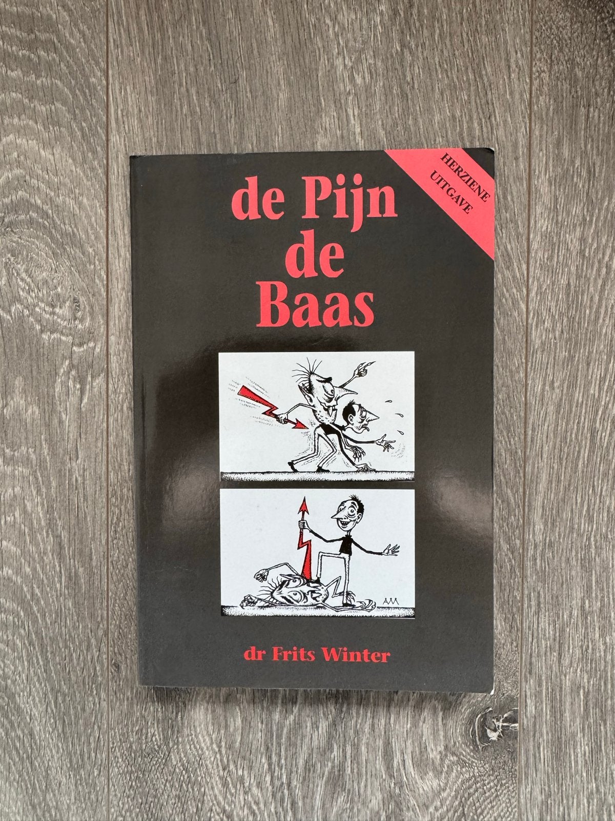 De Pijn de Baas - Dr. Frits Winter (Herziene Uitgave), Ophalen of Verzenden, Gelezen, Gezondheid en Conditie