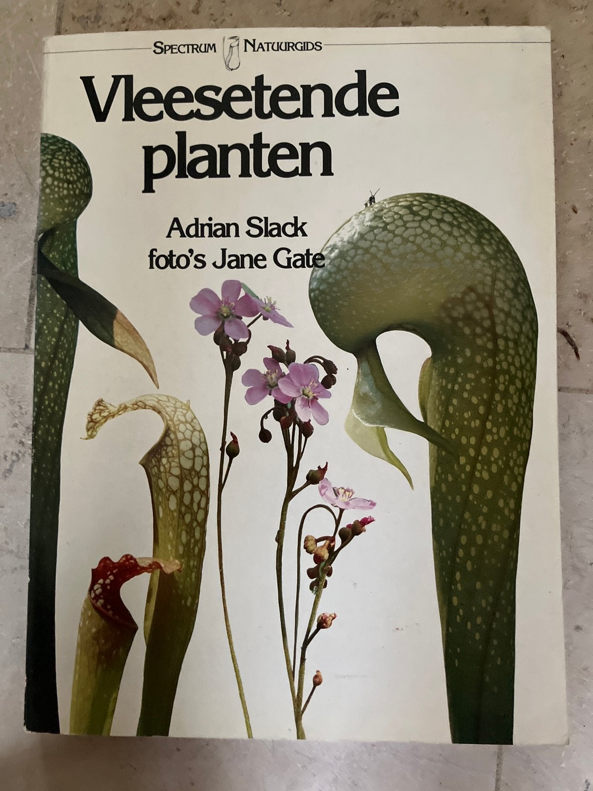 Vleesetende Planten – Adrian Slack | Spectrum Natuurgids, Boeken, Ophalen of Verzenden, Zo goed als nieuw, Bloemen, Planten en Bomen