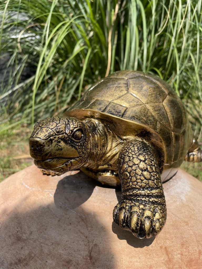 Beeld schildpad goud, gazon, tuin, vijver, 35 cm, Ophalen of Verzenden, Nieuw, Kunststof, Dierenbeeld