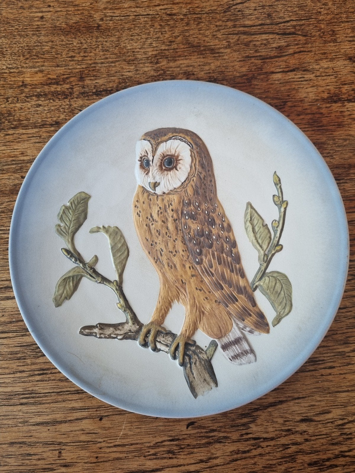 W. Goebel Porseleinen Bord Uil Wildlife 1976 Handgeschilderd, Ophalen of Verzenden