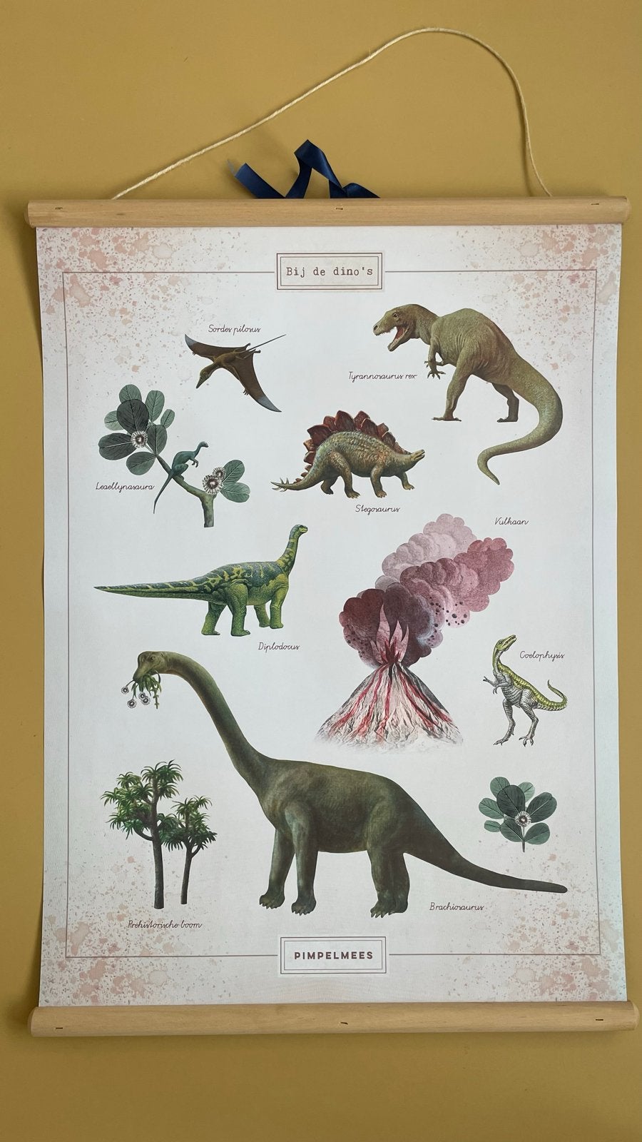 Pimpelmees schoolplaat poster dinosaurus vulkaan, Antiek en Kunst, Antiek | Schoolplaten, Ophalen of Verzenden, Natuur en Biologie
