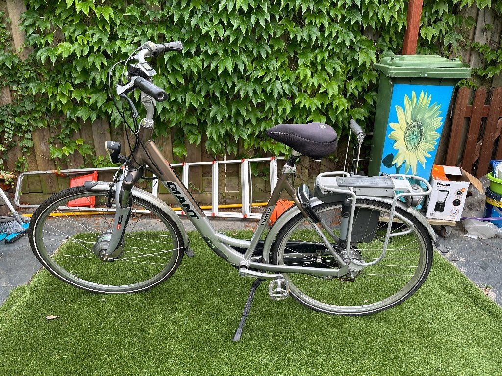 Elektrische fiets Giant Twist Ondersteuning werkt soms, Ophalen, Gebruikt, Minder dan 30 km per accu, Giant