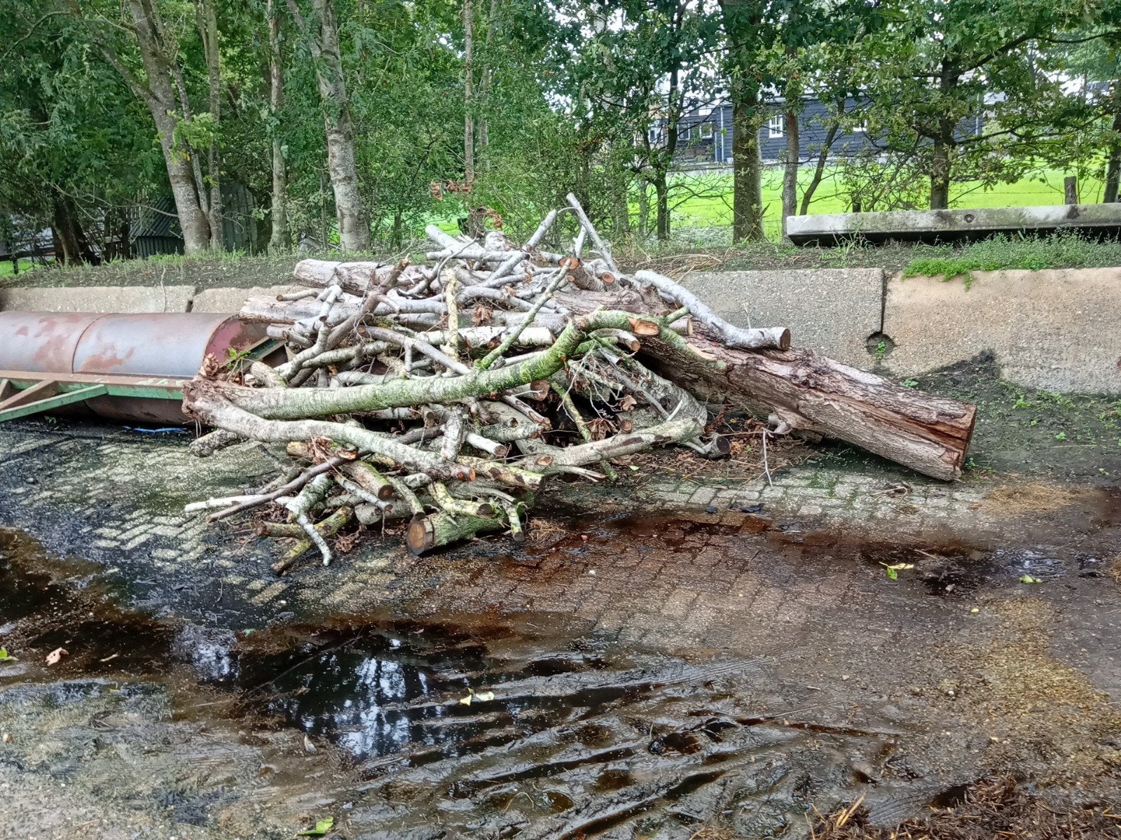 openhaardhout stamhout kachelhout, 3 tot 6 m³, Ophalen, Elzenhout, Stammen
