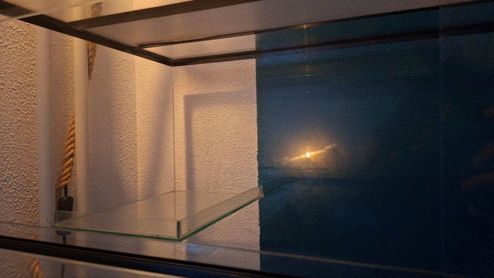 knaagdier terrarium, Dieren en Toebehoren, Gebruikt, Hamster, Hok, 75 tot 110 cm