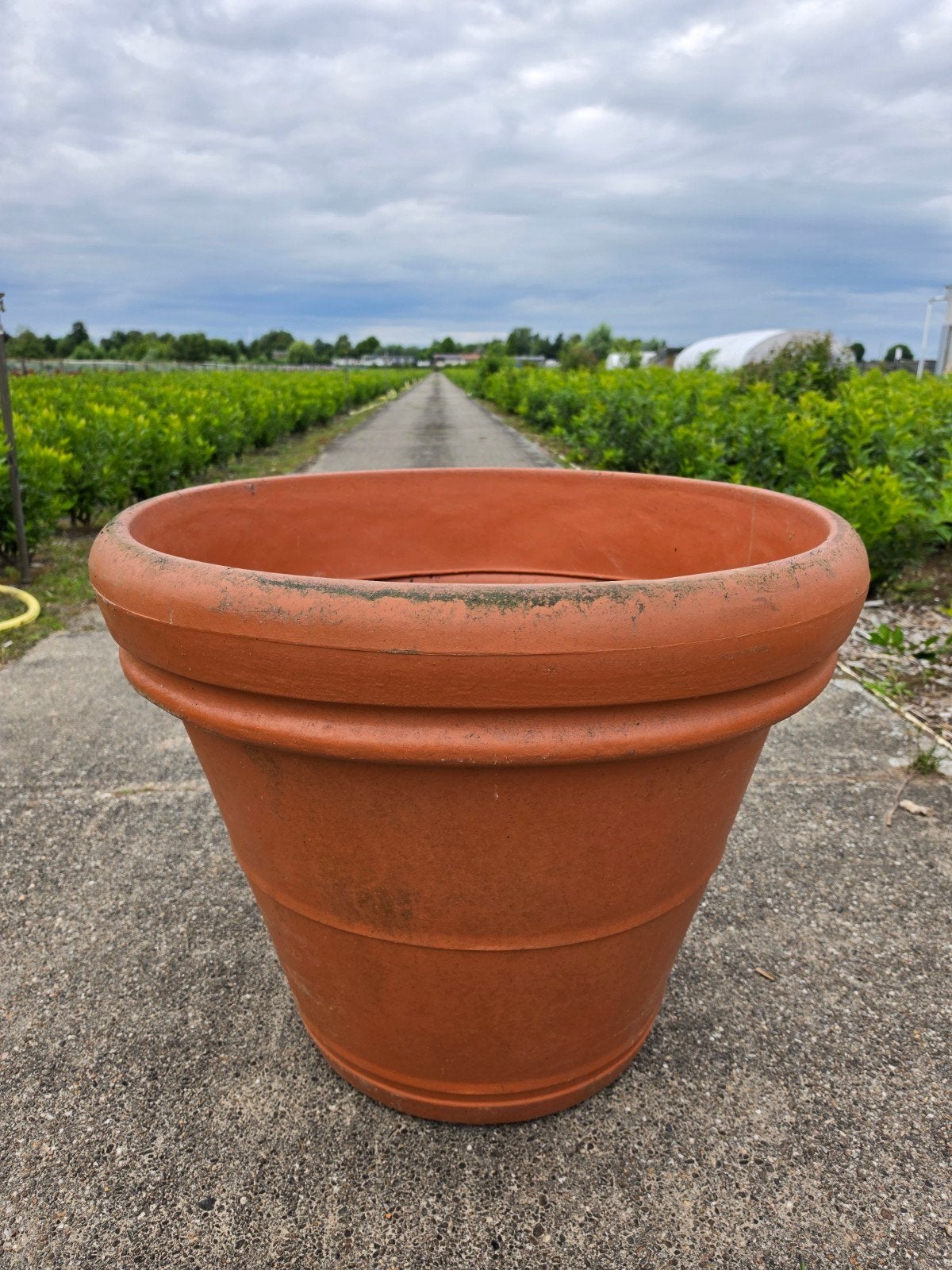 Grote Kunstof Terracotta Look Bloempot | 85 Breed 68 Hoog, Ophalen, Kunststof, Gebruikt, 40 cm of meer