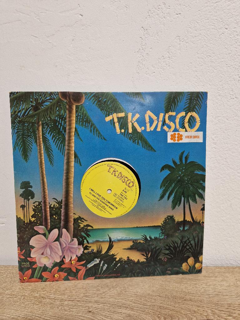t.k. Disco LP, Ophalen of Verzenden, 1970 - 1979, Gebruikt, 12 inch