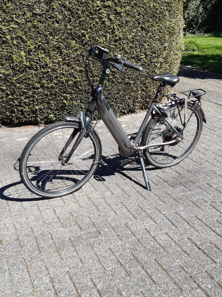 SPARTA, 47 tot 51 cm, Ophalen, Gebruikt, Sparta