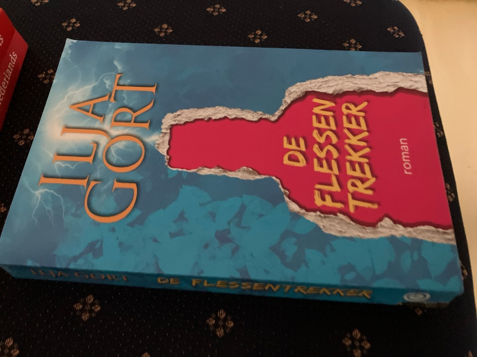 Ilja Gort - De Flessentrekker (roman), Boeken, Ophalen of Verzenden, Nieuw, Nederland
