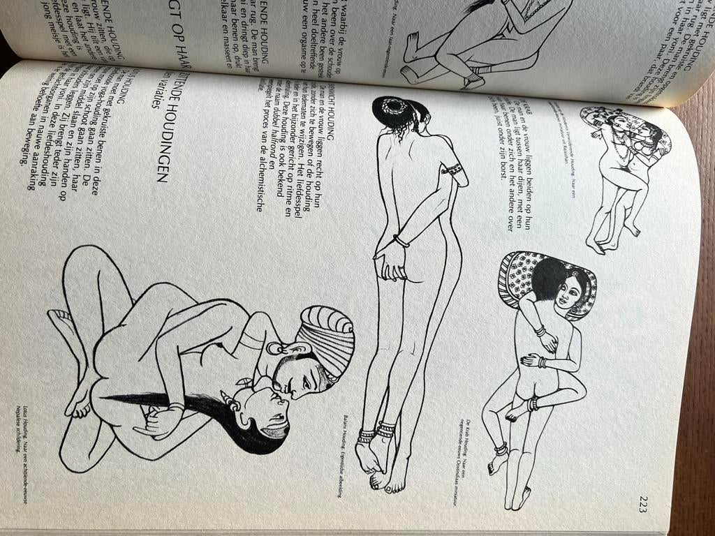 Uniek boek! Seksuele Geheimen: De Magie van de Erotiek, Boeken, Ophalen of Verzenden, Gelezen, Europa overig