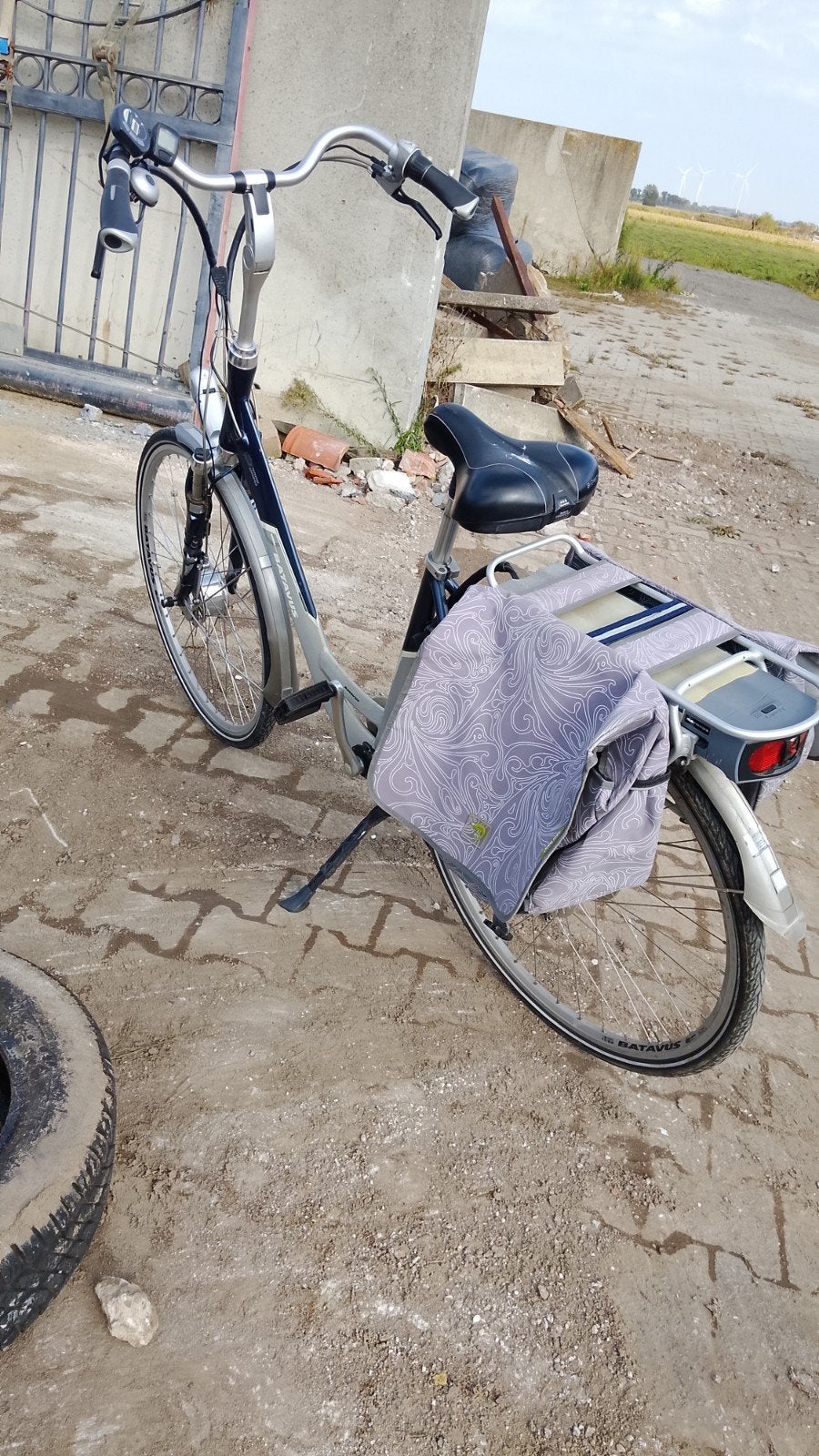 Batavus elektrische fiets met fietstassen