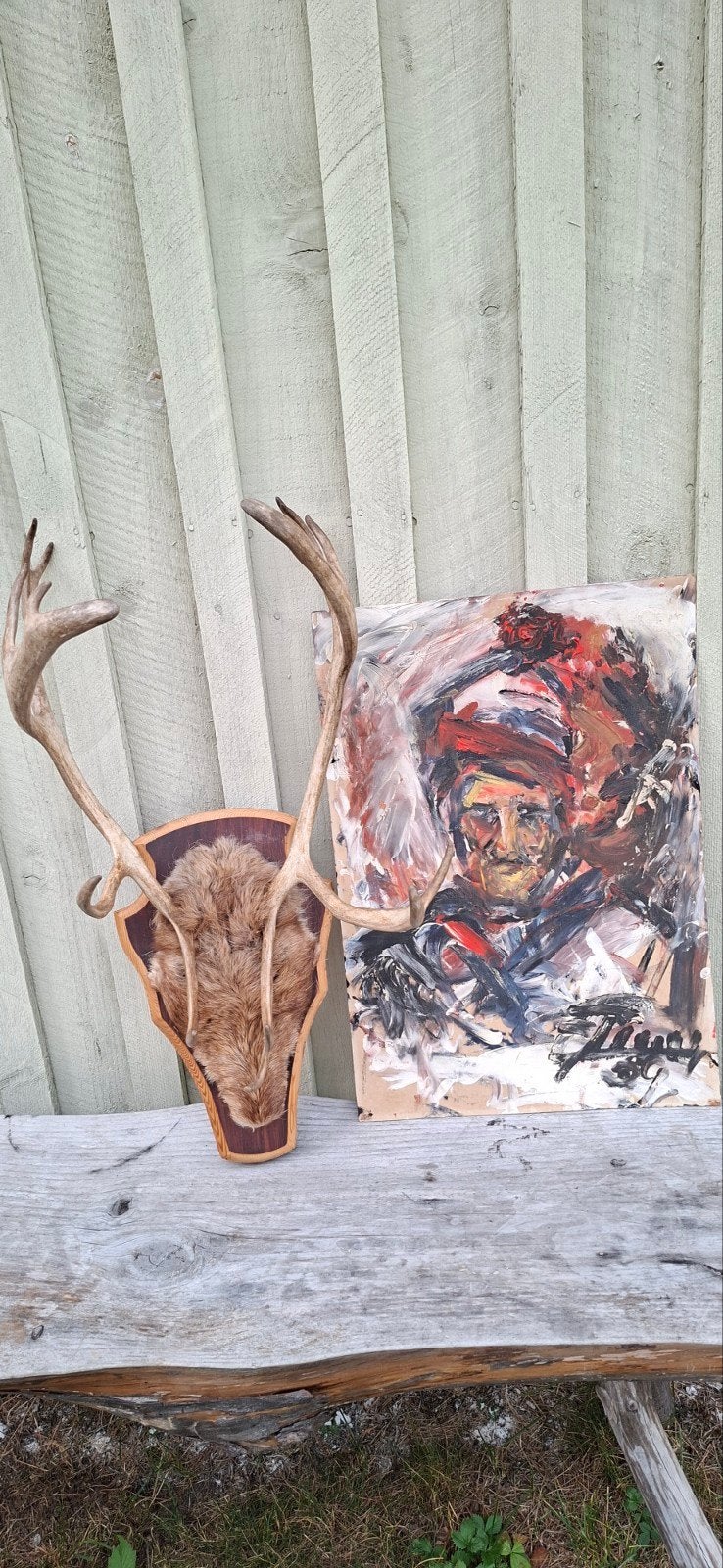 rendier gewei, op trofee plank, sami, lapland., Ophalen of Verzenden, Zo goed als nieuw, Overige soorten, Gewei of Kop