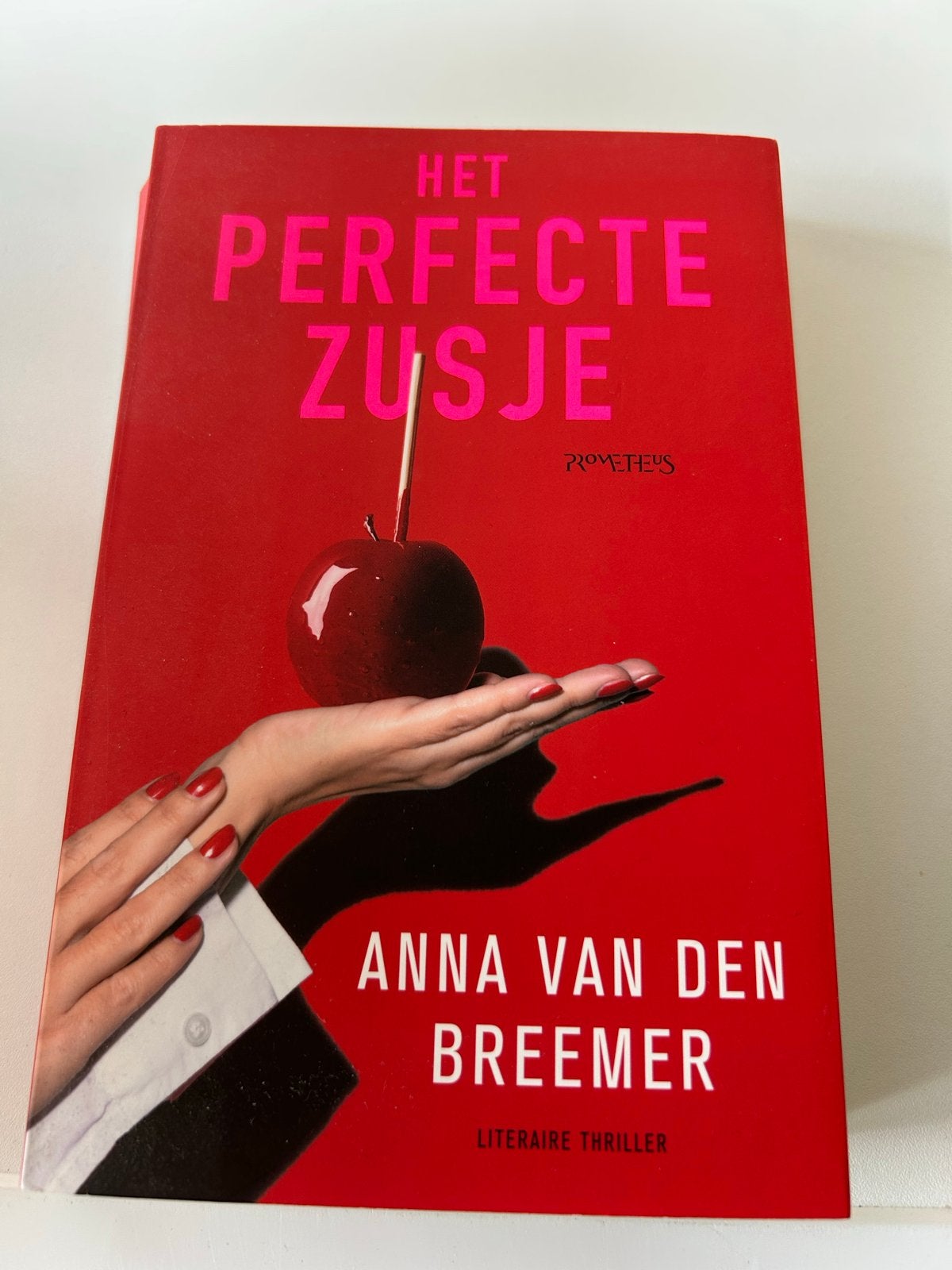Het Perfecte Zusje - Anna van den Breemer (Literaire Thrille, Ophalen of Verzenden, Zo goed als nieuw