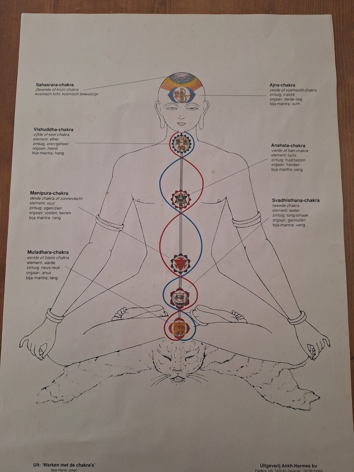 Poster chakra's 60x42 cm - spiritueel en decoratief, Ophalen, 50 – 75, Minder dan 50 cm, Gebruikt