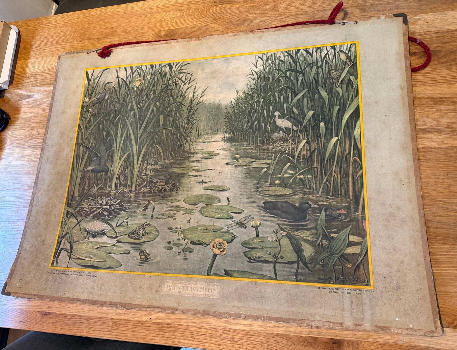 Schoolplaten M.A. Koekkoek Naardermeer en Zoetwatervischen, Antiek en Kunst, Antiek | Schoolplaten, Ophalen, Natuur en Biologie