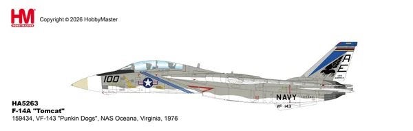 Hobby Master HA5263 | Grumman F-14A Tomcat, Ophalen, Schaalmodel, Nieuw, Pilot Station