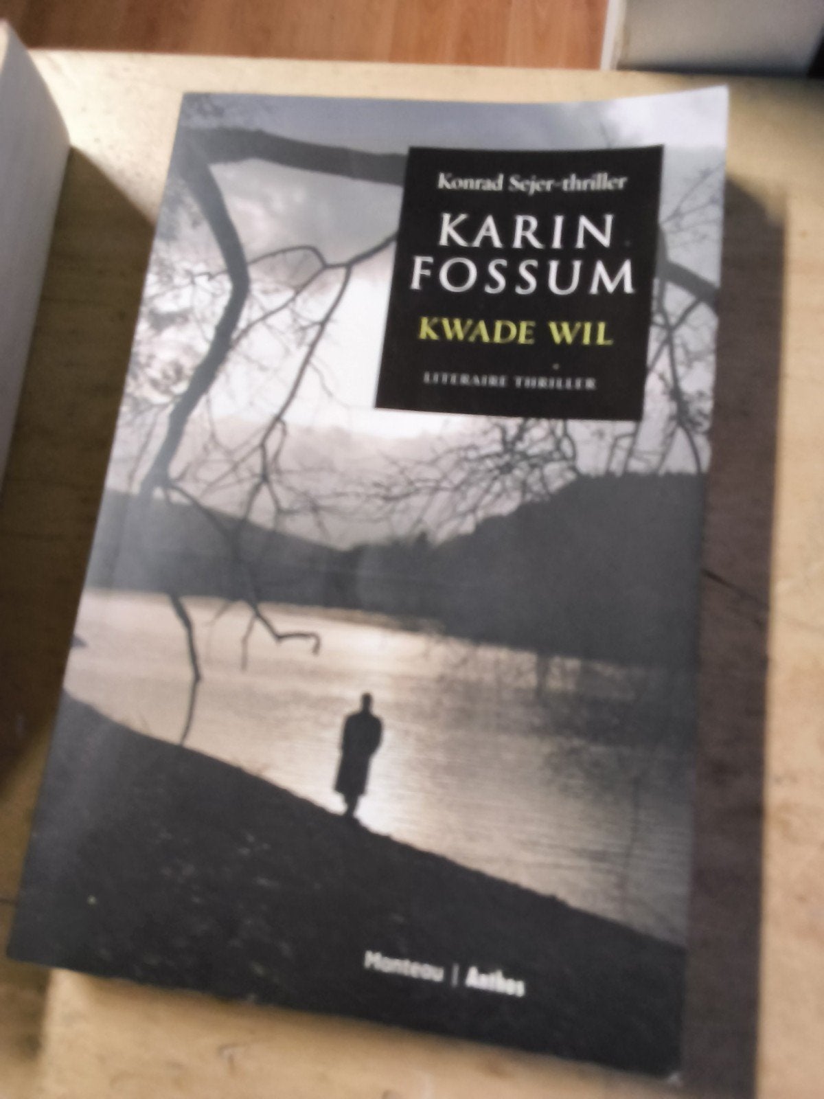 diverse boeken, Ophalen of Verzenden, Zo goed als nieuw