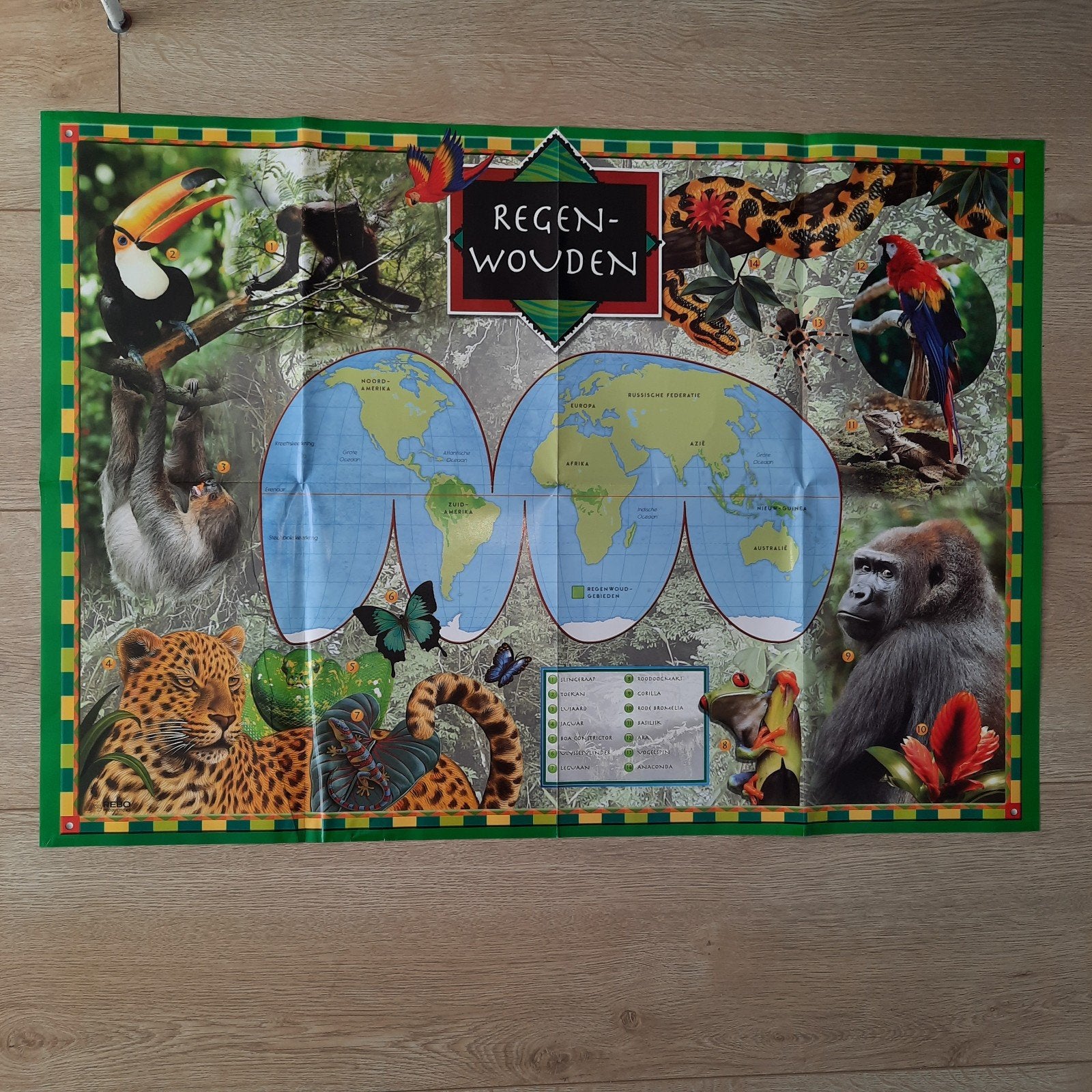 2x dezelfde poster regenwoud oerwoud Amazone 83 bij 59 cm, Ophalen of Verzenden, Zo goed als nieuw