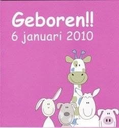 Meike, Ophalen of Verzenden, 2000 tot heden, Geboortekaartje