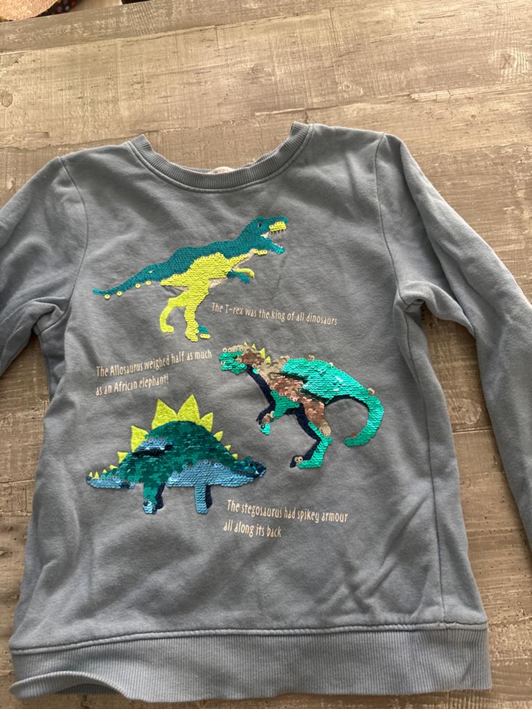 Trui met dinosaurusprint en pailletten maat 122/128, Ophalen of Verzenden, Zo goed als nieuw, Jongen of Meisje, Trui of Vest