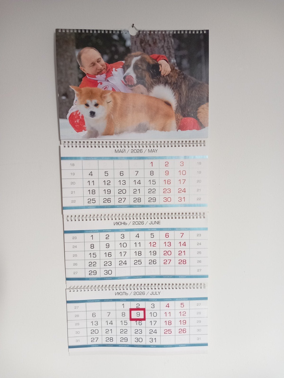 Kantoor kalender Poetin 2026, Ophalen of Verzenden, Jaarkalender, Nieuw