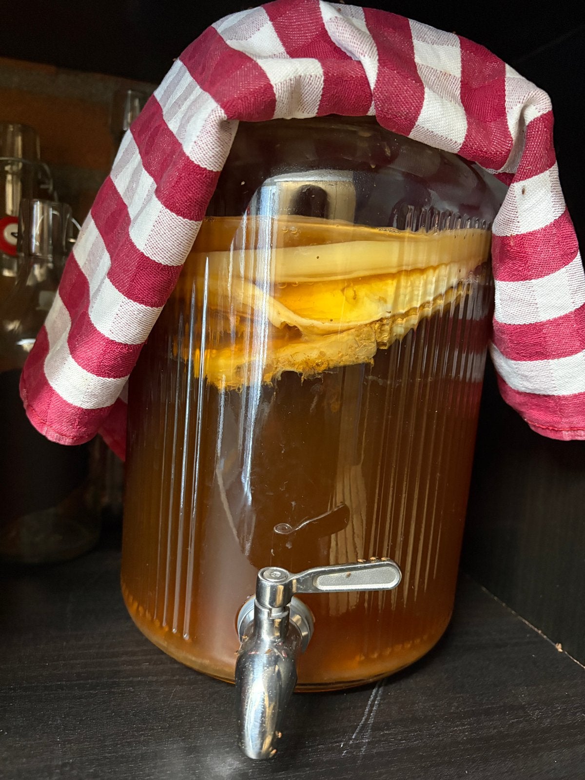 Scoby voor kombucha, Ophalen