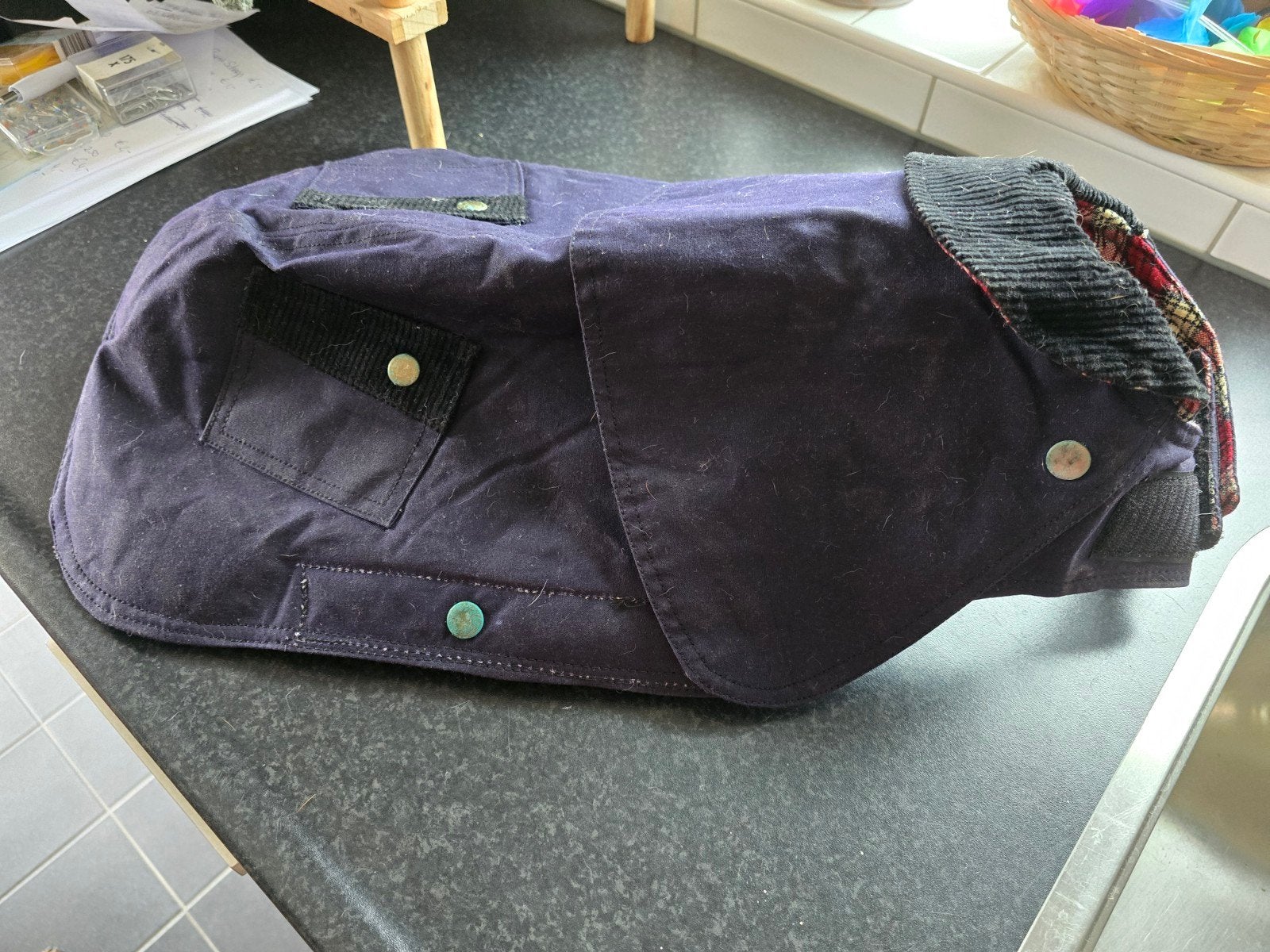 Hondenjas WAXCOAT, Ophalen of Verzenden, Nieuw, Hondenjas, Gevoerd