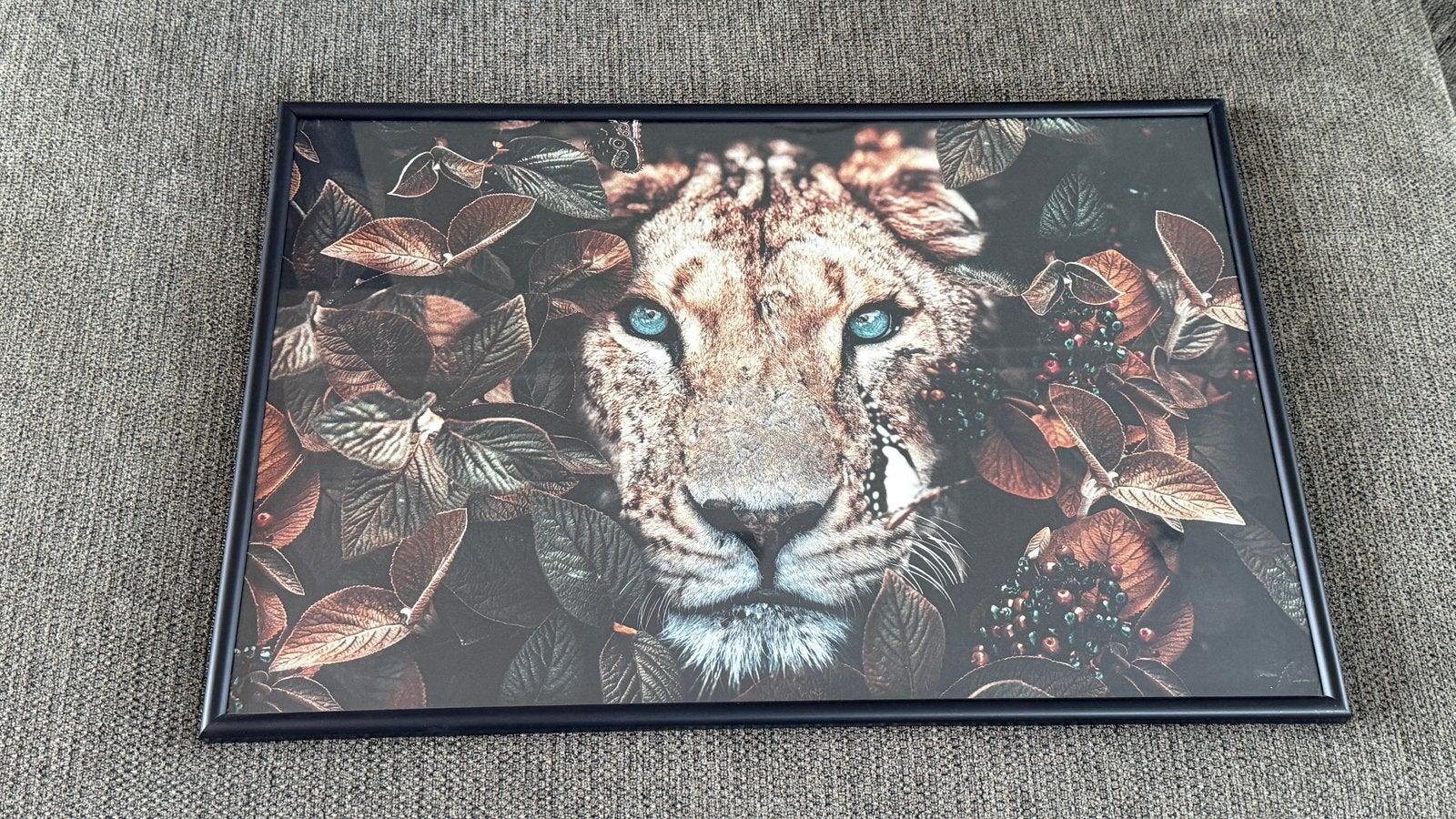 Poster Lioness 40x60 in lijst, Ophalen of Verzenden, Zo goed als nieuw