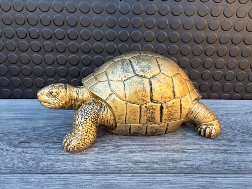 schildpad, Woondecoratie eindhoven, Nieuw, Ophalen of Verzenden, Woondecoratie eindhoven