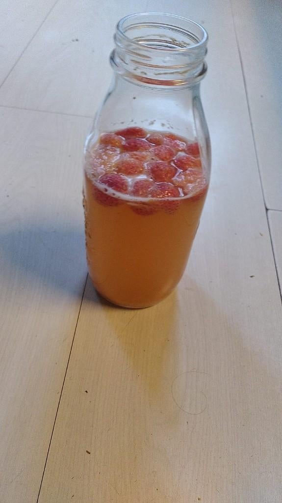Waterkefir korrels gratis afhalen, Ophalen