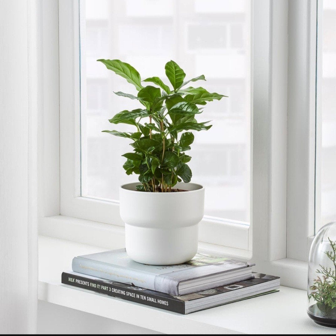 Ikea bloempot wit, Ophalen, Kunststof, Gebruikt, Rond