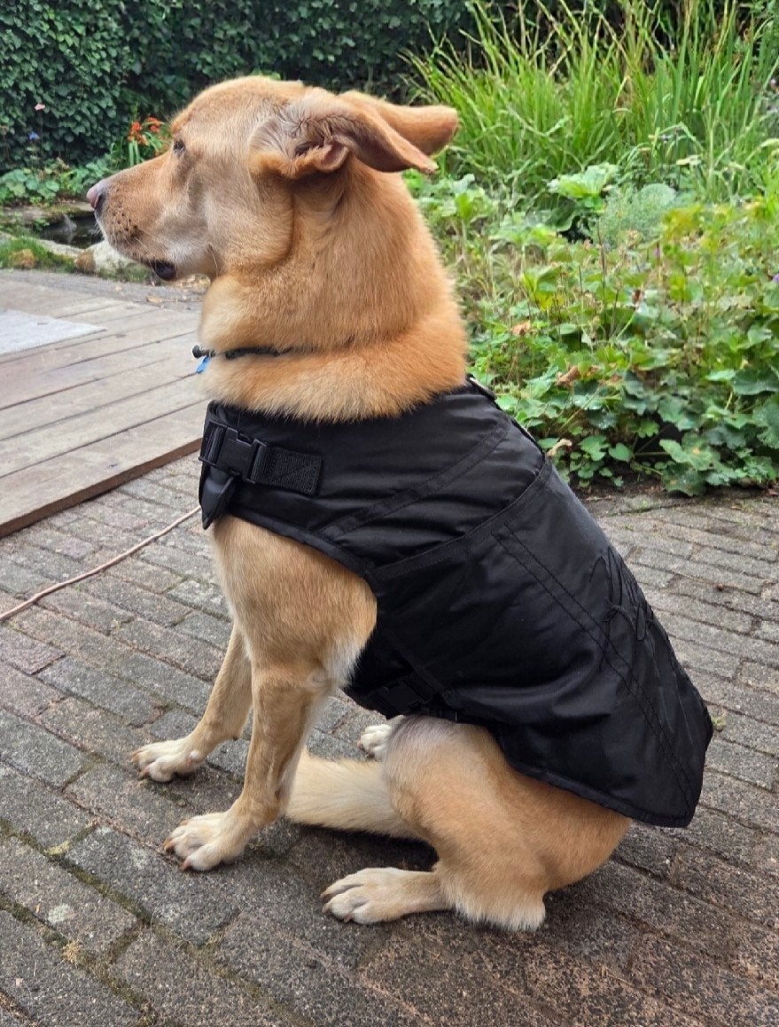 Roque Active hondenjas, Dieren en Toebehoren, Ophalen of Verzenden