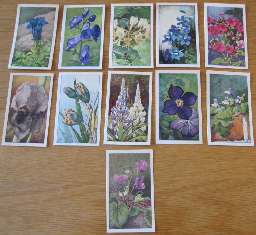 12 plaatjes voor Verkade's album - De bloemen in onzen tuin, Ophalen of Verzenden, Gelezen, Plaatjesalbum
